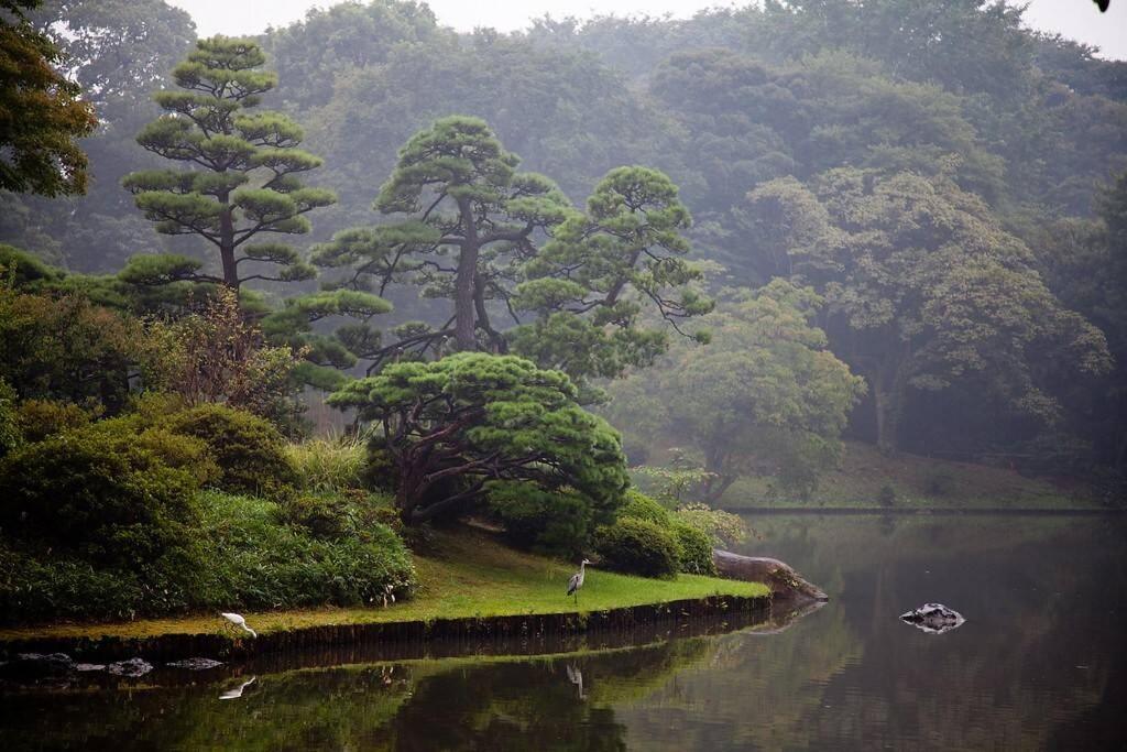 TORA HOTEL Tokyo-Rikugienn 寅ホテル 六義園 C Eksteriør billede